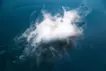 音の残像