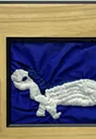 「变化」