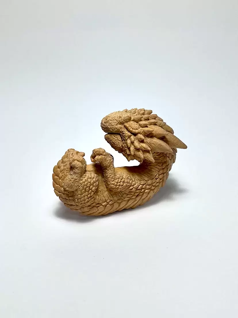 Newborn dragon by Shinya Nagashima