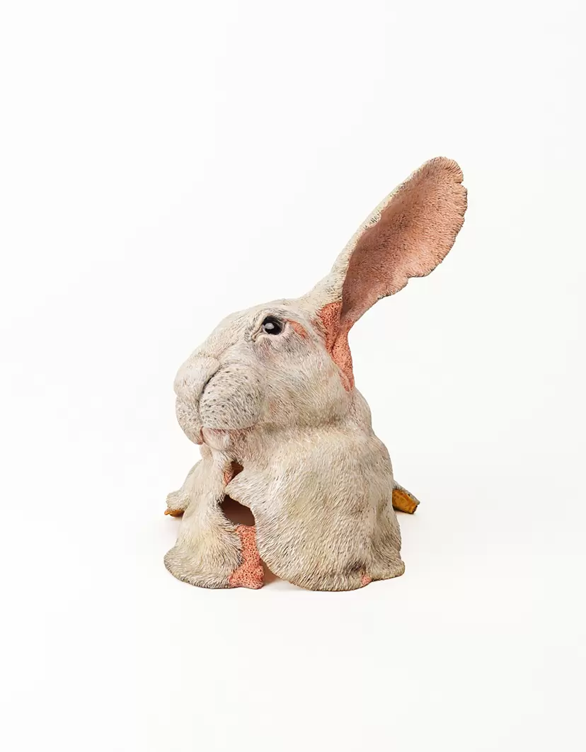 覆皮 Leporidae 001 by 東影 智裕