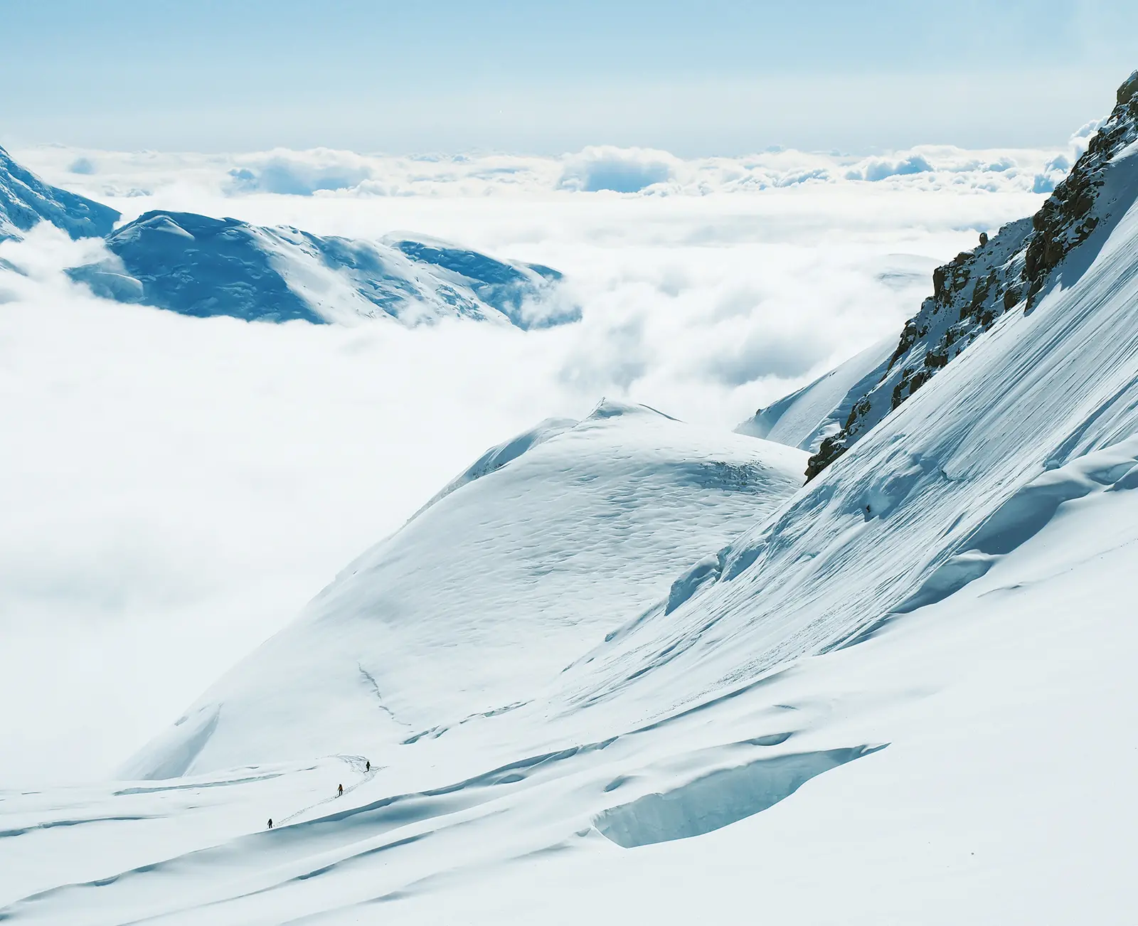 Mt. Denali #4
