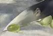 Knife Noon
