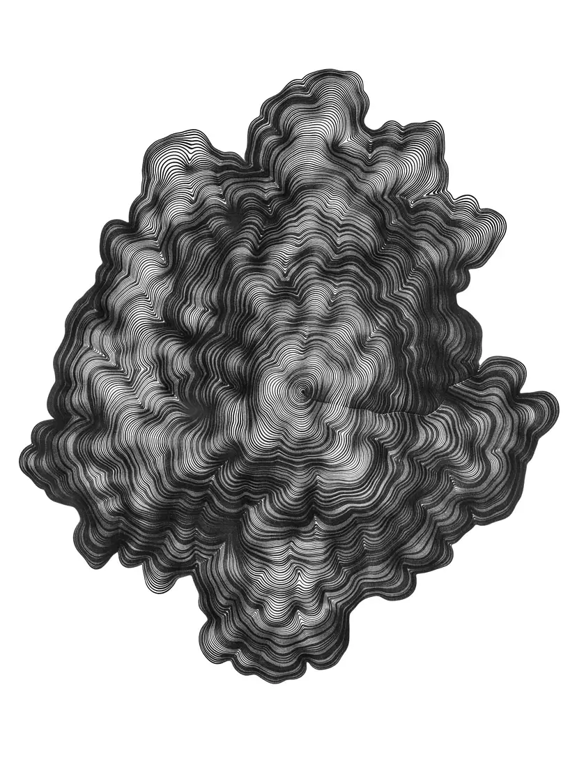 NATURE/CODE/DRAWING Tree Ring algorithm by 深地 宏昌