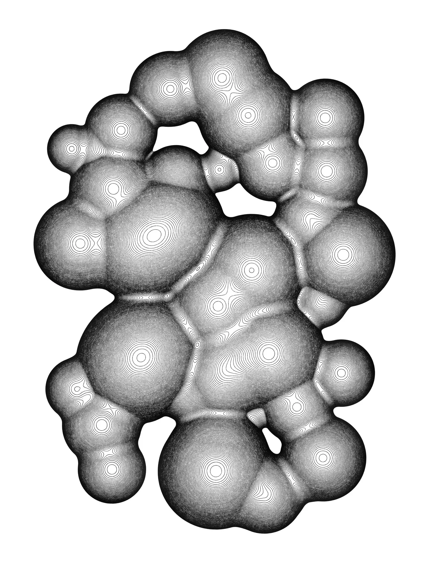 NATURE/CODE/DRAWING Peptide algorithm