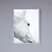 Picture Furniture