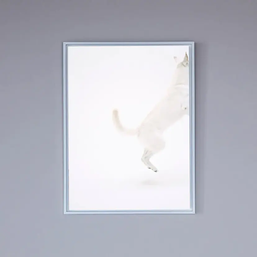 Picture Furniture by 久保田育男