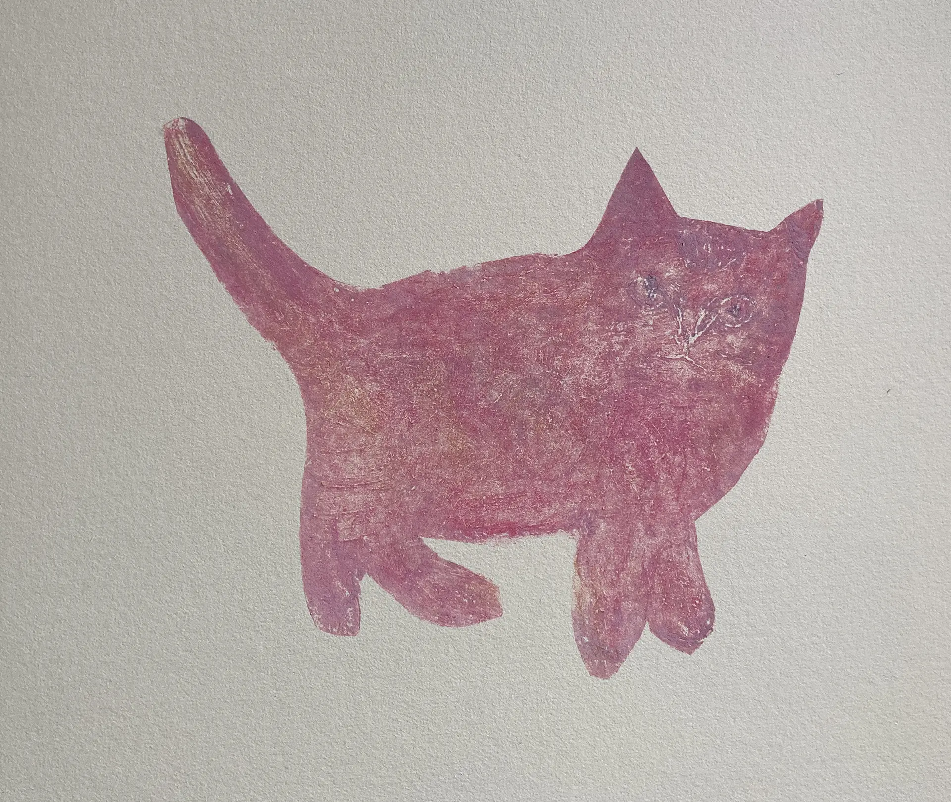 cat01