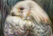 「Owl(left)」