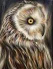 「Owl(right)」