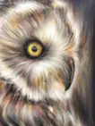 「Owl(right)」