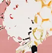 Raspberry 190-190-1