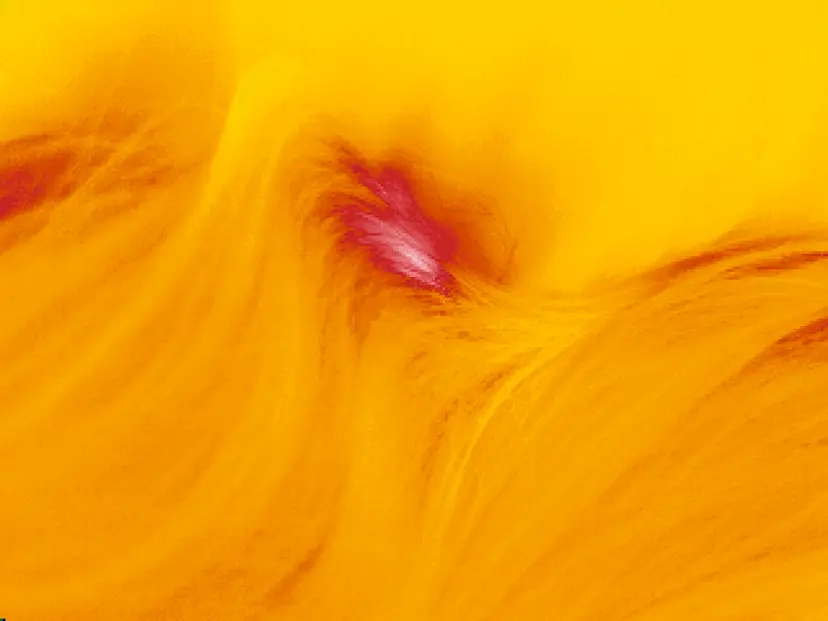 THERMOMACY by TOKYO CREATIVE SALON