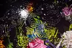 花のイメージ