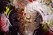 花のイメージ