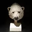 Beyond the Gaze – Polar Bear