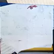 天体観測