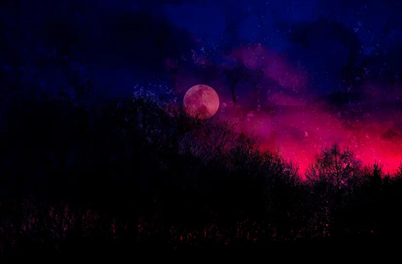 Lullaby for Memories by 益本絵美花
