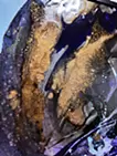 色彩のドローイング 4|面