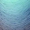 無何有 (M-#1)