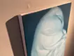 Ghost #8