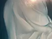 Ghost #8