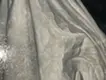 Ghost #5