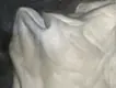 still ghost #1