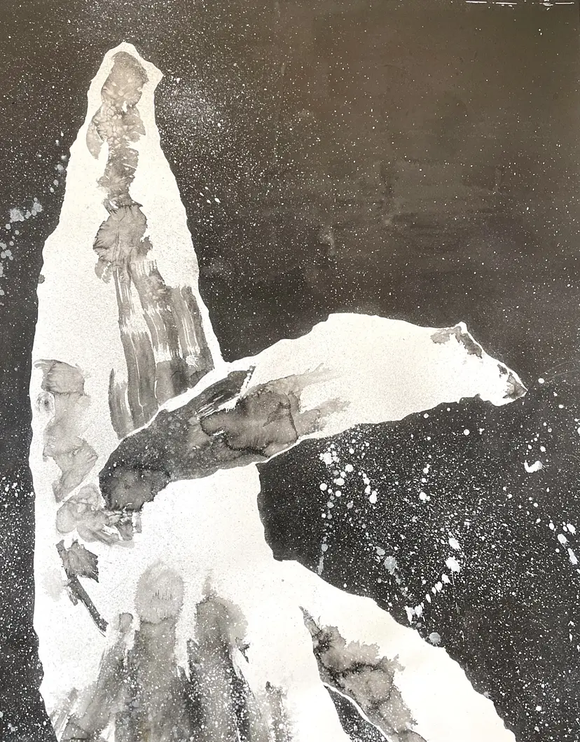 Whale 3 by 27wtc