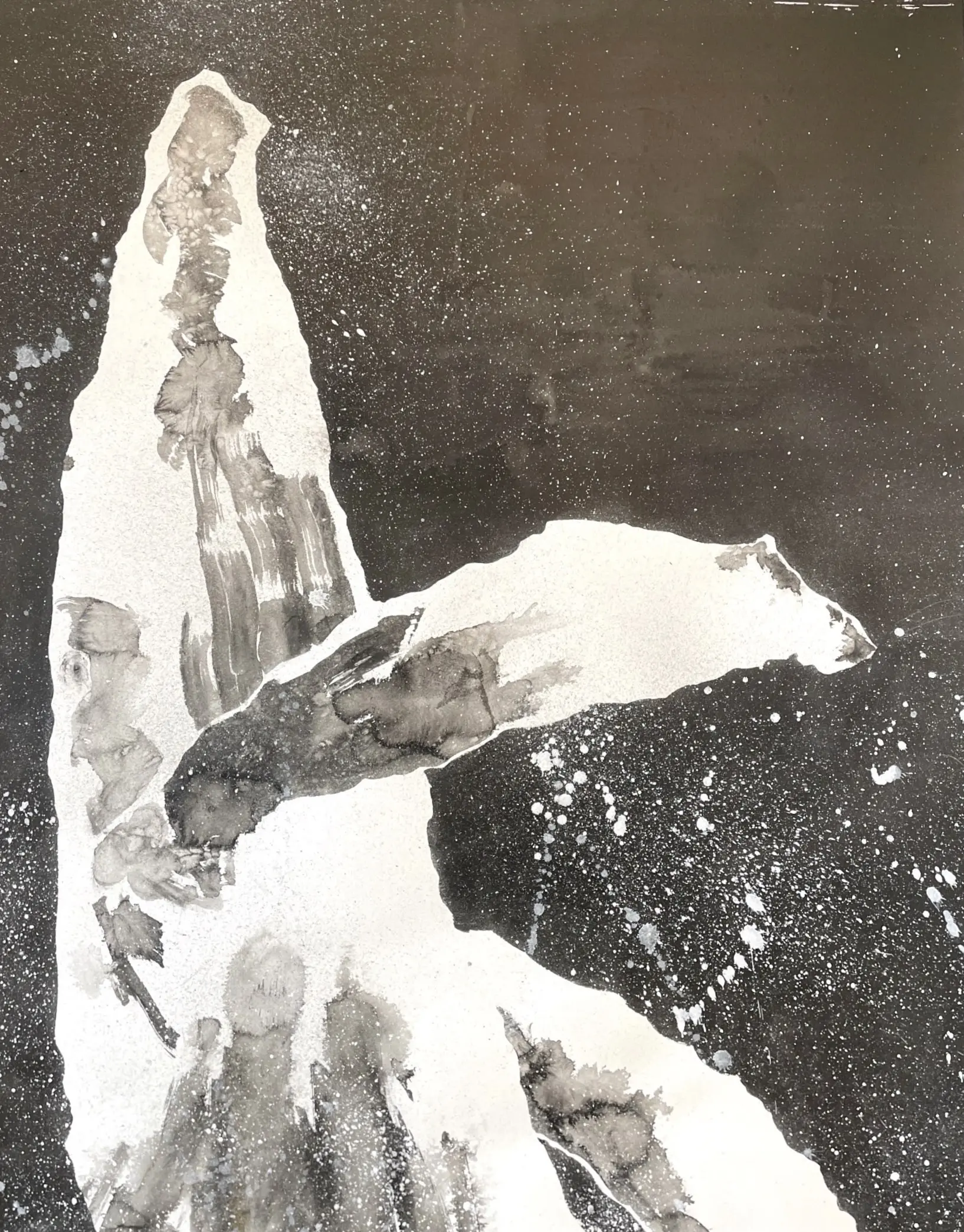 Whale 3