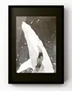 whale4