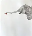 Elephant 4