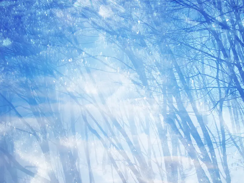 Promised Land by Emika Masumoto