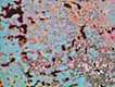 Layers of Color 1904