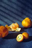citrus シトラス