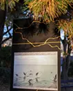 kintsugi 金継ぎ