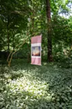 shining in the forest 森に輝く