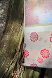 petals on the lake 湖面の花びら