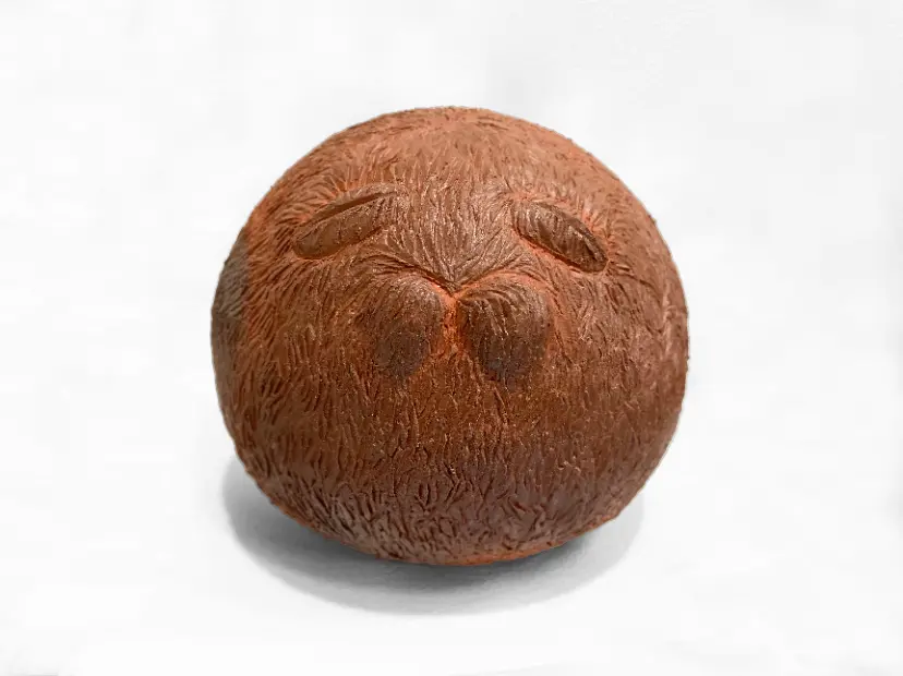 21679_165516386349516_x.webp?
