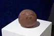 巡る思念体 ケダマ（テラ）