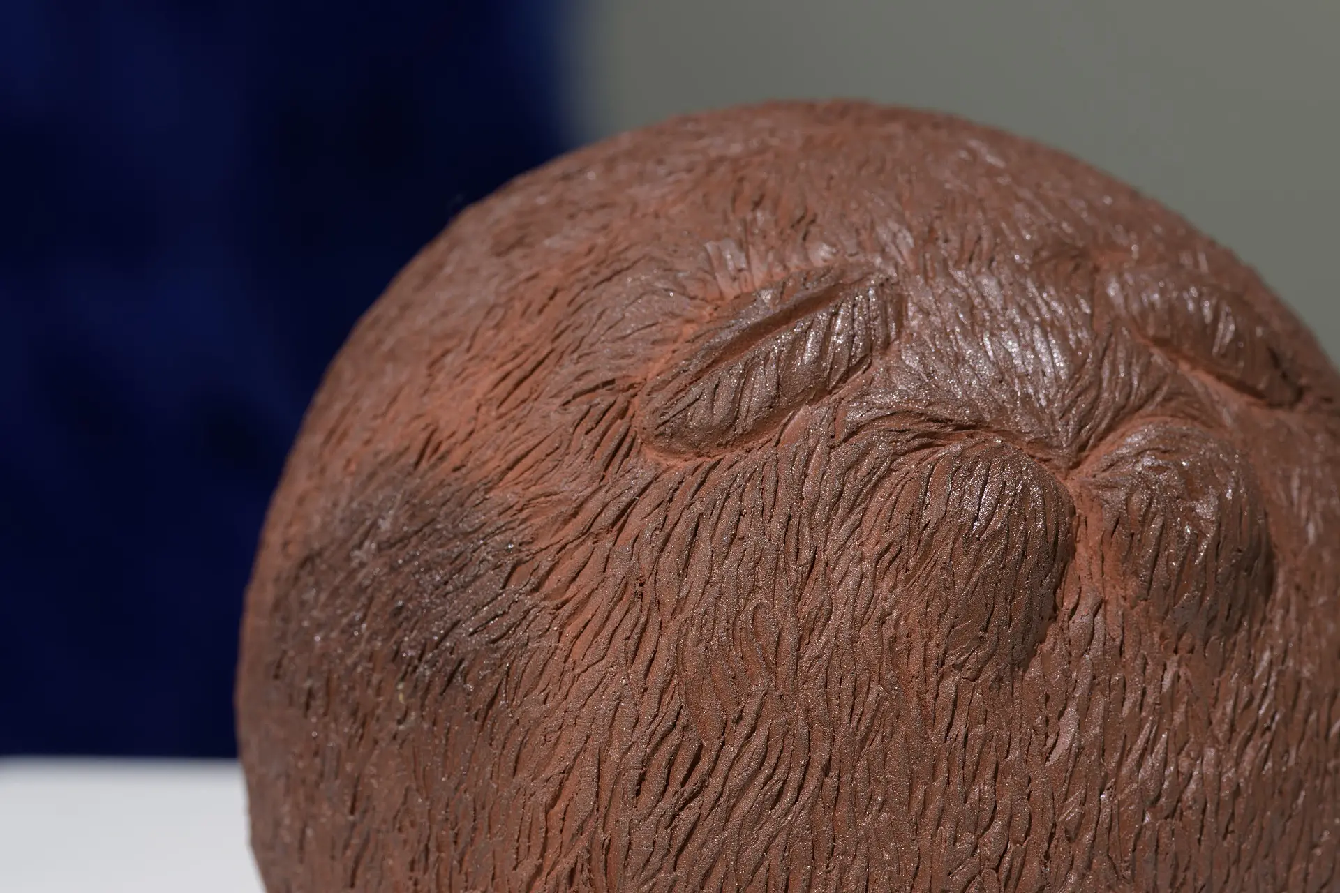 巡る思念体 ケダマ（テラ） by 小西 葵 | 現代アートの販売