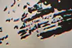 onomatopoeia