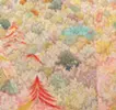 浅い森
