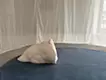 あなたはいま、何もない空間に入る。 そして、その空間の一点を何気なく見つめる。 その行為を、私は永遠の夏と名づけることにする。