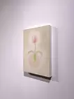 繊細な好き