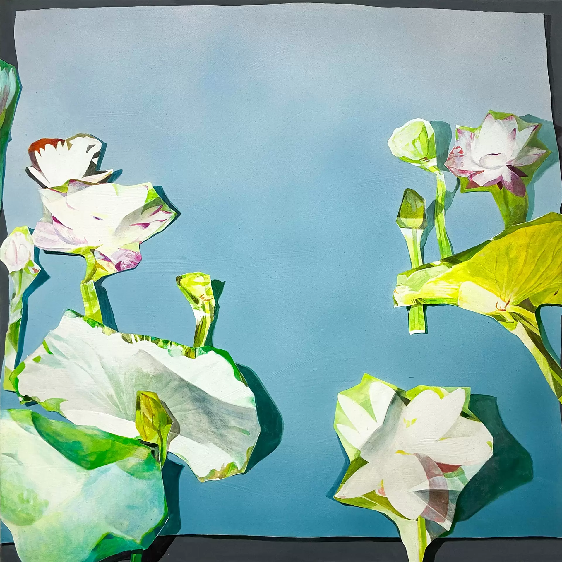 Picture Arrangement/Hasu