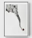 elephant 5