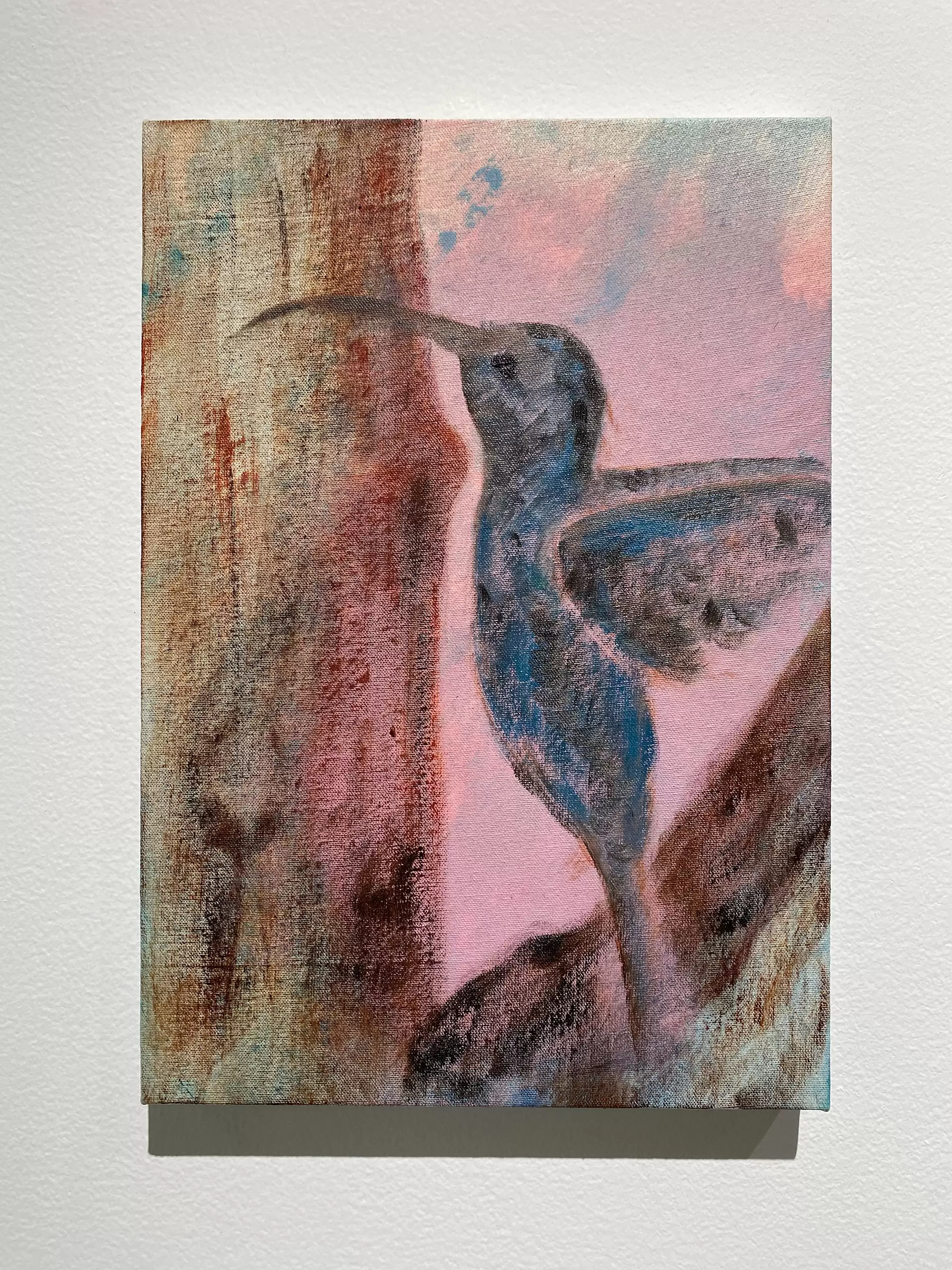 Colibrí