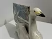 Swan Messenger