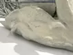 Swan Messenger