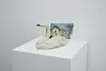 Swan Messenger